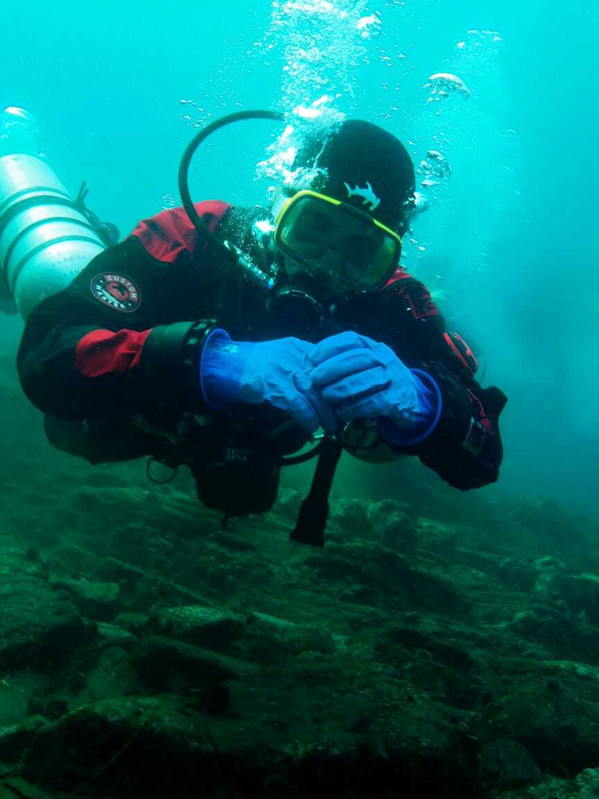 <span style="font-weight: bold;">Дайвинг</span>